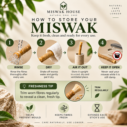Miswak Stick
